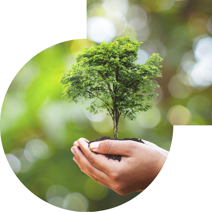 关怀人类、文化、环境与社会